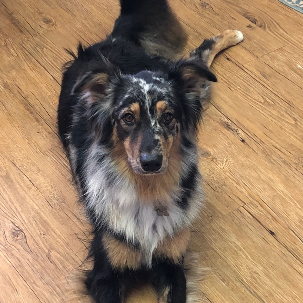 Meet your Posher, Alexis